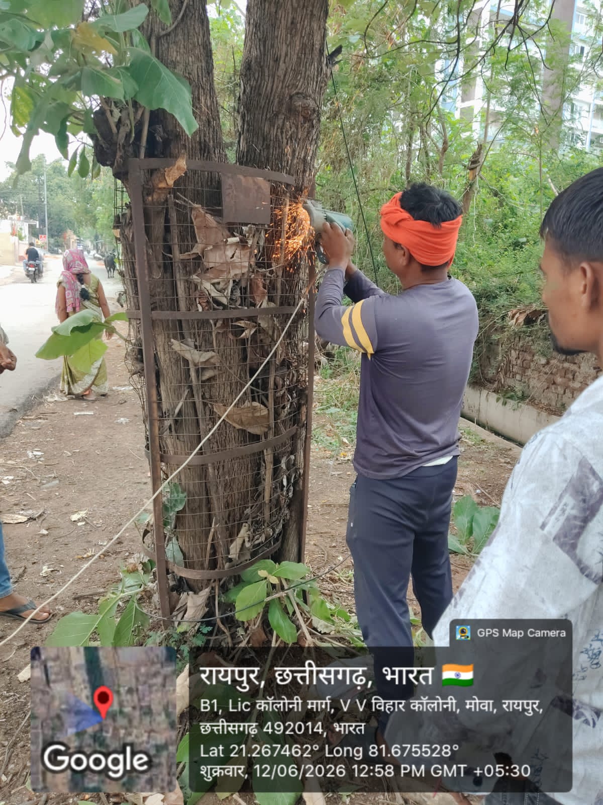 'प्रोजेक्ट पुनर्जीवन' की तेज रफ्तार: पौधों को बचाने के लिए हटाए जा रहे ट्री गार्ड और कांक्रीट के घेरे, कलेक्टर करेंगे 'पर्यावरण मित्रों' को सम्मानित