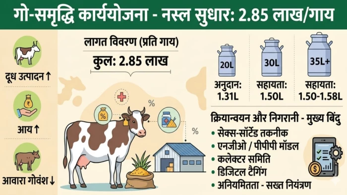 Chhattisgarh Yojana News: छत्तीसगढ़ गो-समृद्धि योजना का आगाज; अब बेहतर नस्ल की गाय पालने पर सरकार देगी प्रति गाय 2.85 लाख रुपये