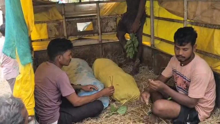 Kondagaon Tragedy: दर्दनाक हादसा; नाले में डूबने से दो चचेरे भाइयों की मौत, गांव में पसरा मातम