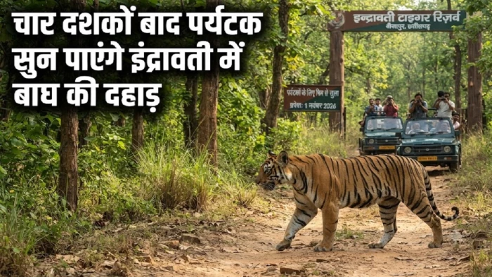 Indravati Tiger Reserve: चार दशक बाद पर्यटकों के लिए खुलेगा इंद्रावती टाइगर रिजर्व, 1 नवंबर से शुरू होगा पर्यटन